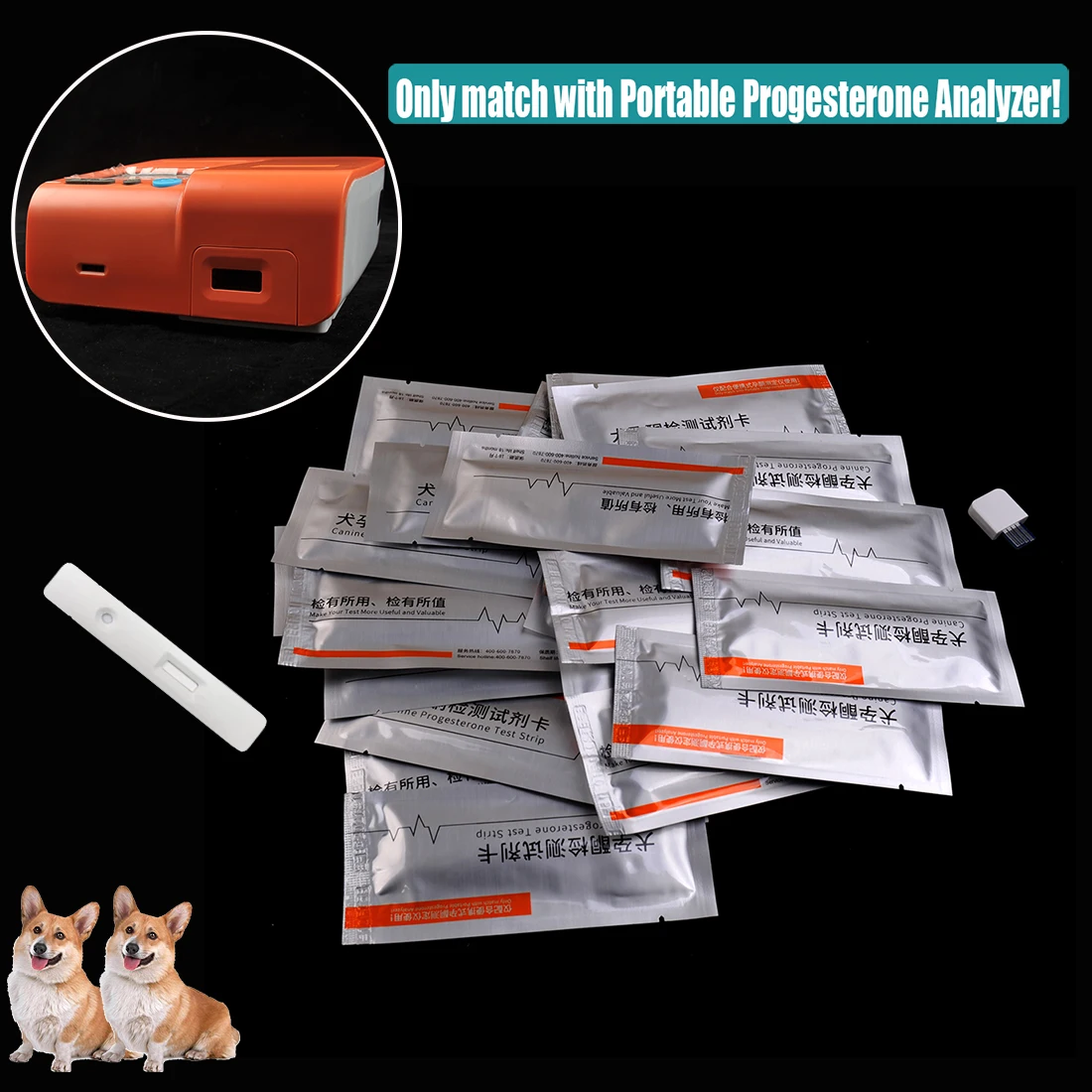 Canineは、犬の猫の動きをテストしますモニタリングチップ - Hair Porosity Test のレビューと価格