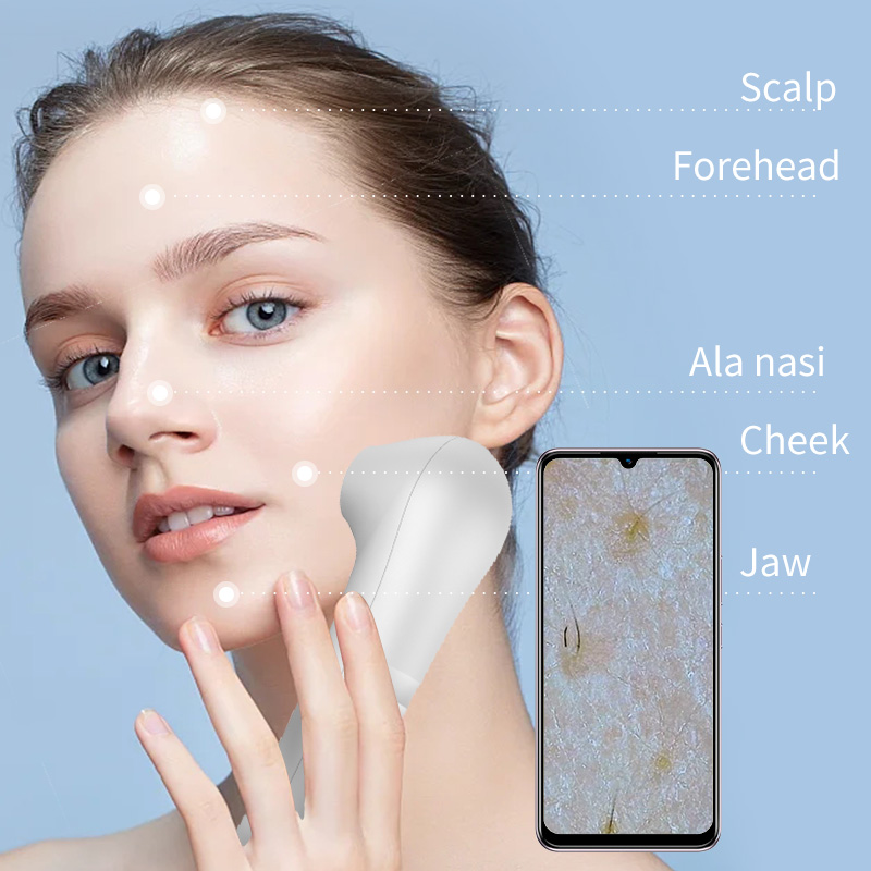 2026年版 ポータブルHD頭皮＆肌分析器 黒ずみ＆毛穴検出 - Hair Porosity Test のレビューと価格